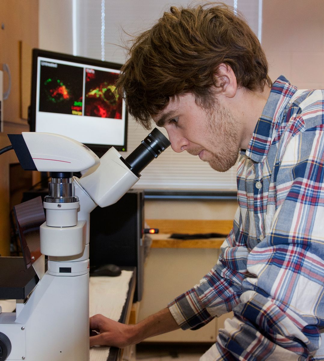 Penn State student in laboratory at microscope