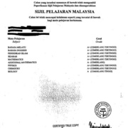 Sijil PelaJaran Malaysia (SPM) Sample Transcript